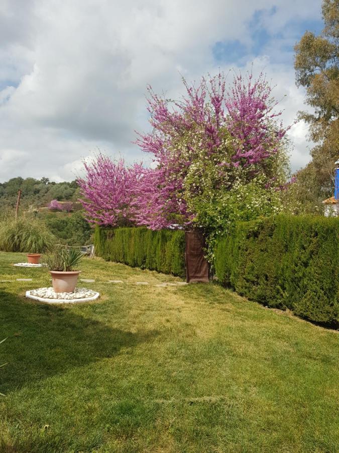Hotel Casa Grande Constantina Zewnętrze zdjęcie