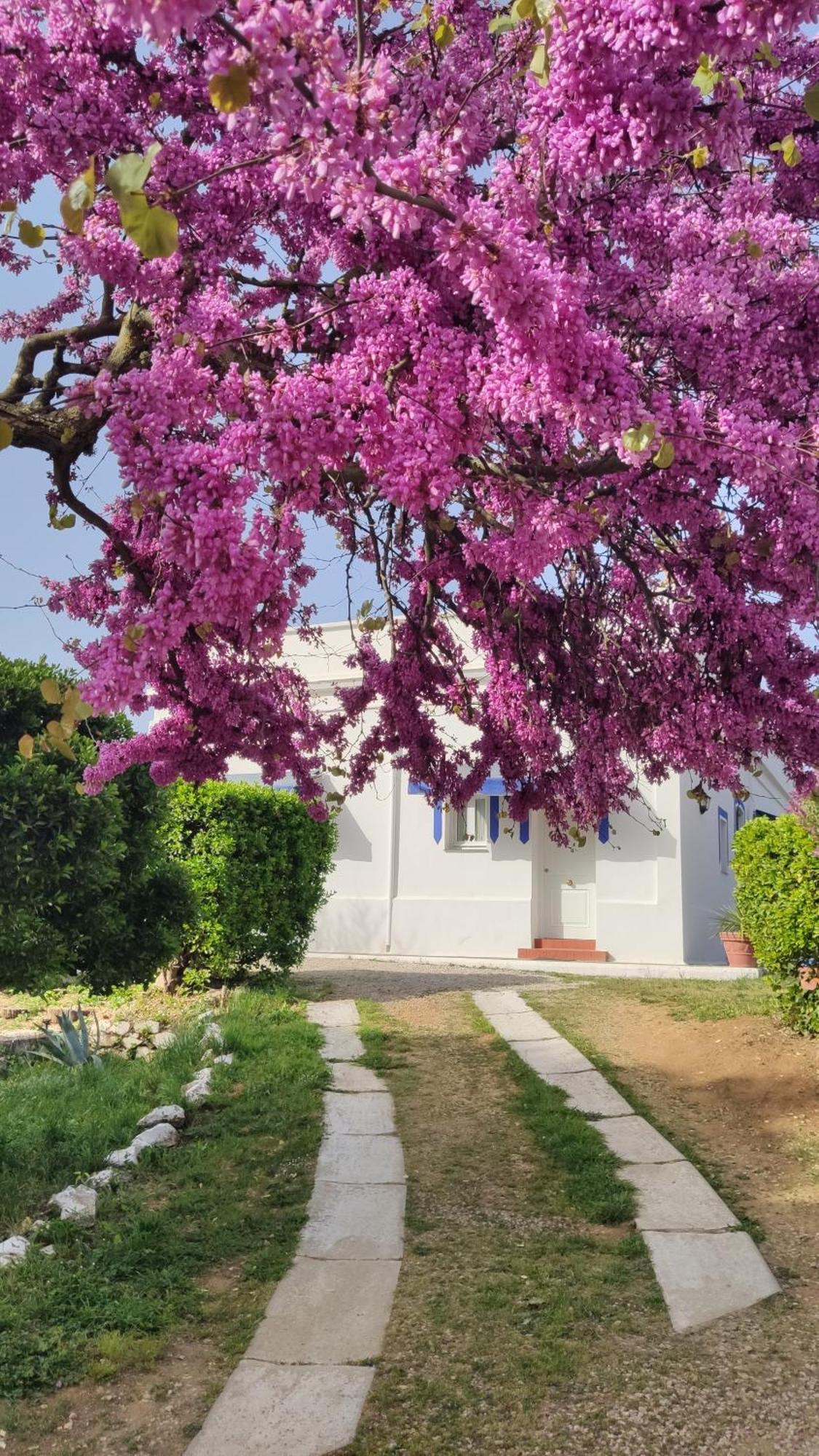 Hotel Casa Grande Constantina Zewnętrze zdjęcie
